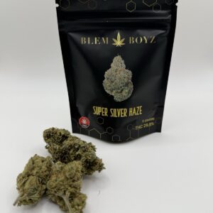 Super Silver Haze - Holland Import