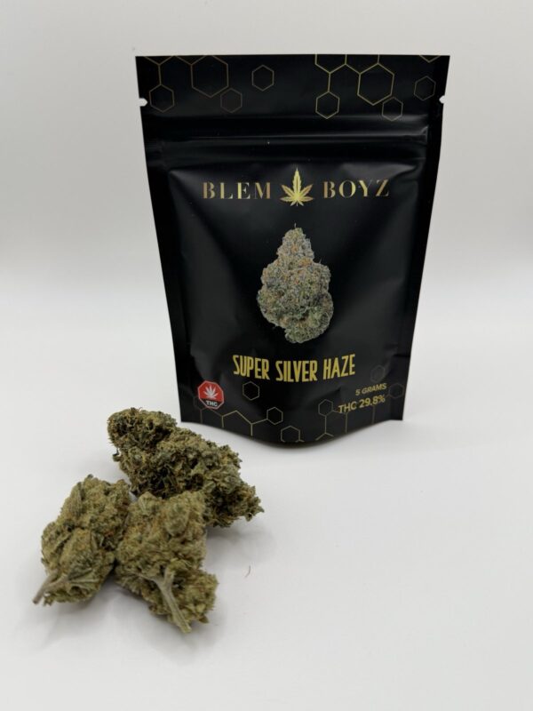 Super Silver Haze - Holland Import